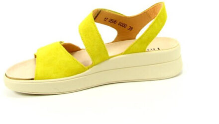 Think! 3-000586 Geel - 38