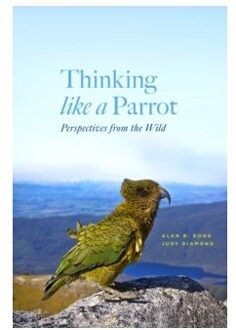 Thinking Like a Parrot