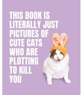 This Book Is Literally Just Pictures Of Cute Cats Who Are Plotting To Kill You - This Book Is