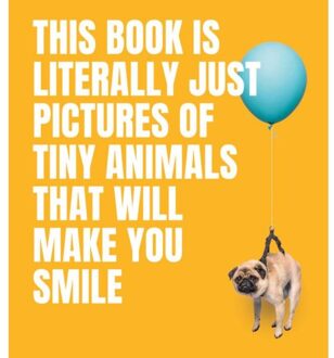 This Book Is Literally Just Pictures Of Tiny Animals That Will Make You Smile