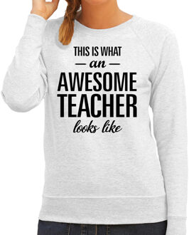 This is what an awesome teacher looks like cadeau sweater / trui grijs dames M