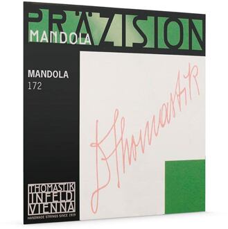 Thomastik Infeld TH-172 2x D-snaar voor mandola 2x D-snaar voor mandola, flatwound