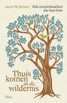 Thuiskomen in de wildernis -  Jason M. Brown (ISBN: 9789085288008)