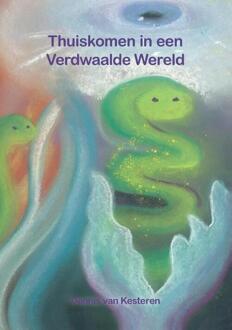 Thuiskomen in een Verdwaalde Wereld -  Dennis van Kesteren (ISBN: 9789465110349)