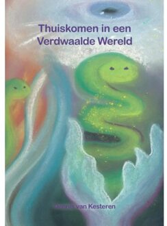 Thuiskomen In Een Verdwaalde Wereld - Dennis van Kesteren