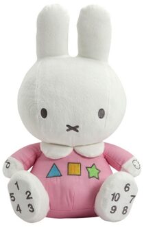 Tiamo NIJN9030 educatief speelgoed