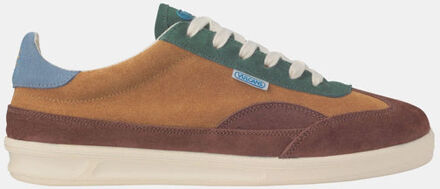 Tide Sneaker Bruin - 45