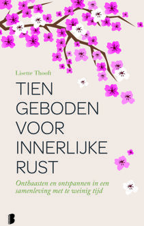 Tien geboden voor innerlijke rust - Boek Lisette Thooft (902257525X)
