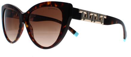 Tiffany & Co Tiffany TF4196 80153B havana bruin gradiënt zonnebril
