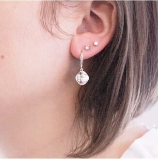 Tiffy Hook Oorbellen - Oostenrijks kristal Wit Zilver - One Size