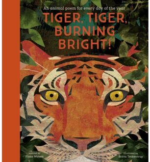 Tiger Tiger Burning Bright! - Fiona Waters