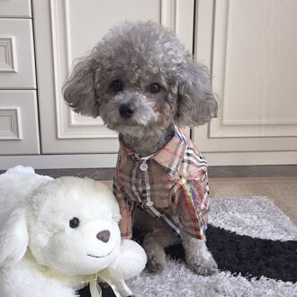 Tij Hond Shirt Kleine En Medium Honden Katten Kleding Bichon Frise Franse Bulldog Teddy Puppy Kitten Voor Huisdier Kleding L0005 XXL