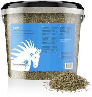 Tijm paard
