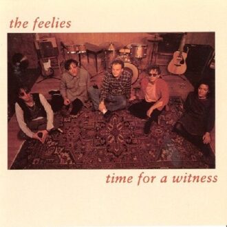 Time For A Witness - Feelies