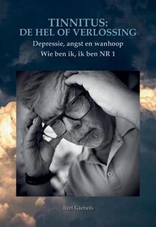 Tinnitus de hel of verlossing -  Bert Giebels (ISBN: 9789464816372)