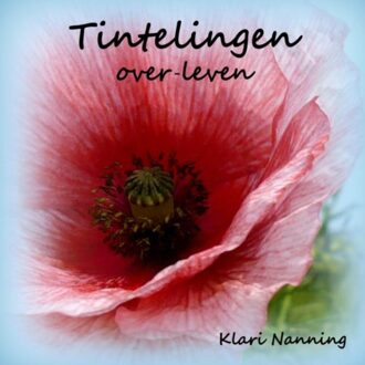 Tintelingen - Boek Klari Nanning (9462545235)