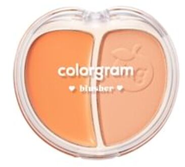 Tintin Dory Duo Blusher - 5 Types #02 Tangerine Duo
