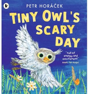 Tiny Owl's Scary Day - Petr Horacek
