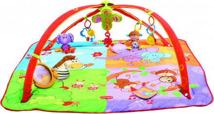Tiny Tiny love babygym move and play