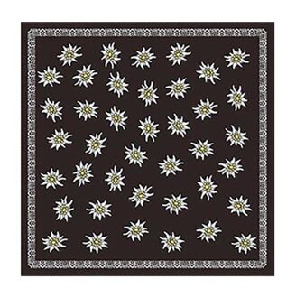 Tiroler sjaal edelweis coffee