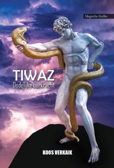 TIWAZ - Koos Verkaik - ebook