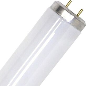 | TL Buis | G13 Fitting | T12 | 20W | Blacklight UV insectenlamp | 59cm Opaal