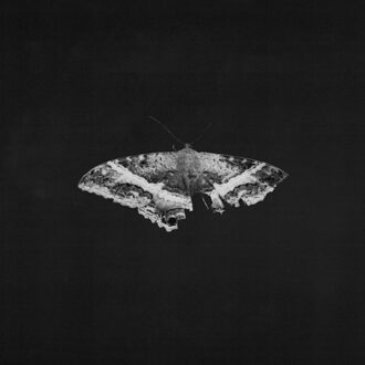 To Pimp A Butterfly (10th Anniversary) - Kendrick Lamar