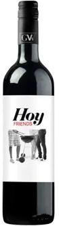 Today Friends wine Garnacha Tempranillo and Cariñena 2015 75 cl