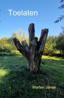 Toelaten -  Marten Janse (ISBN: 9789403771182)