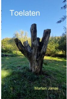 Toelaten - Marten Janse