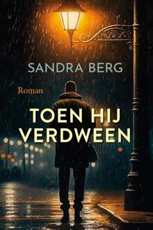 Toen hij verdween -  Sandra Berg (ISBN: 9789020553536)