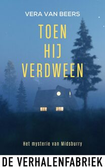 Toen hij verdween - Vera van Beers - ebook
