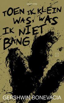 Toen ik klein was, was ik niet bang - Gershwin Bonevacia - ebook