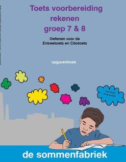 Toets voorbereiding rekenen -  Liesbeth van der Plas (ISBN: 9789082328387)