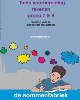 Toets voorbereiding rekenen -  Liesbeth van der Plas (ISBN: 9789082328394)