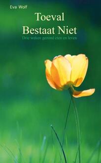 Toeval Bestaat Niet - (ISBN:9789082303216)