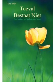 Toeval Bestaat Niet - (ISBN:9789082303216)