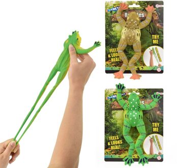 Toi-Toys Toi Toys Levensechte kikker op kaart verschillende