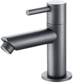 Toiletkraan - Fonteinkraan - Koudwaterkraan 1/2 - Leoni Crinty - Opbouw - PVD - Gunmetal Grijs