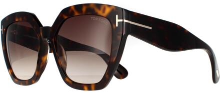 Tom Ford Cat Eye Dames Dark Havana Gradiënt Roviex Brown FT0939 Phoebe zonnebril Bruin - One Size