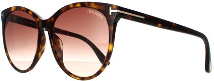 Tom Ford zonnebril Maxim FT0787 52F Dark Havana Brown Gradiënt Bruin