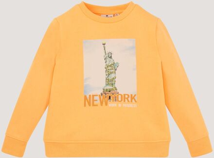 Tom Tailor Sweatshirt met print, Jongens, oranje, Größe 92/98