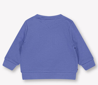 Tommy Hilfiger Baby jongens trui in Blauw - 62