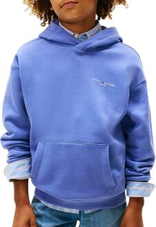 Tommy Hilfiger Corp Hoodie Junior - 140