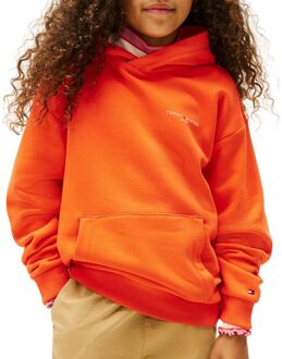 Tommy Hilfiger Corp Hoodie Junior - 152
