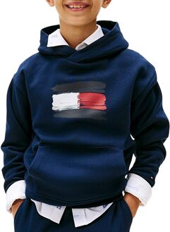 Tommy Hilfiger Flag Hoodie Junior - 12