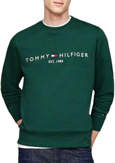 Tommy Hilfiger Groene Trui Hoge Hals Regular Fit Tommy Hilfiger , Green , Heren - Xl,L,M