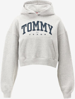 Tommy Hilfiger Hoodie grijs - M;L