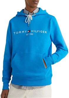 Tommy Hilfiger Logo Hoodie Heren blauw