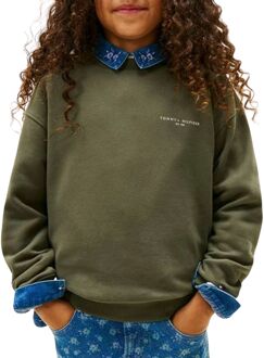 Tommy Hilfiger Mini Corp Sweater Junior - 12